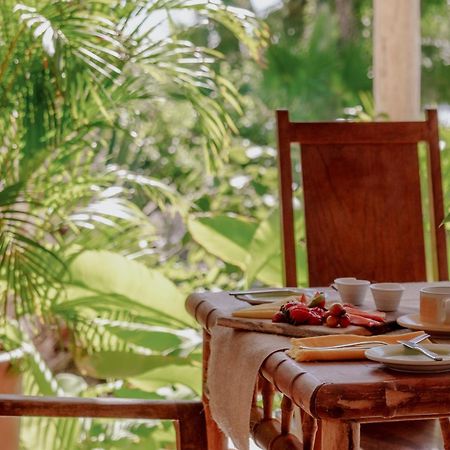La Poza Boutique Hotel And Spa - Adults 15 Plus Todos Santos Ngoại thất bức ảnh