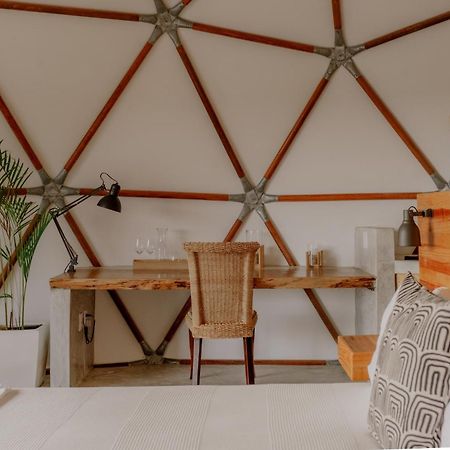 La Poza Boutique Hotel And Spa - Adults 15 Plus Todos Santos Ngoại thất bức ảnh