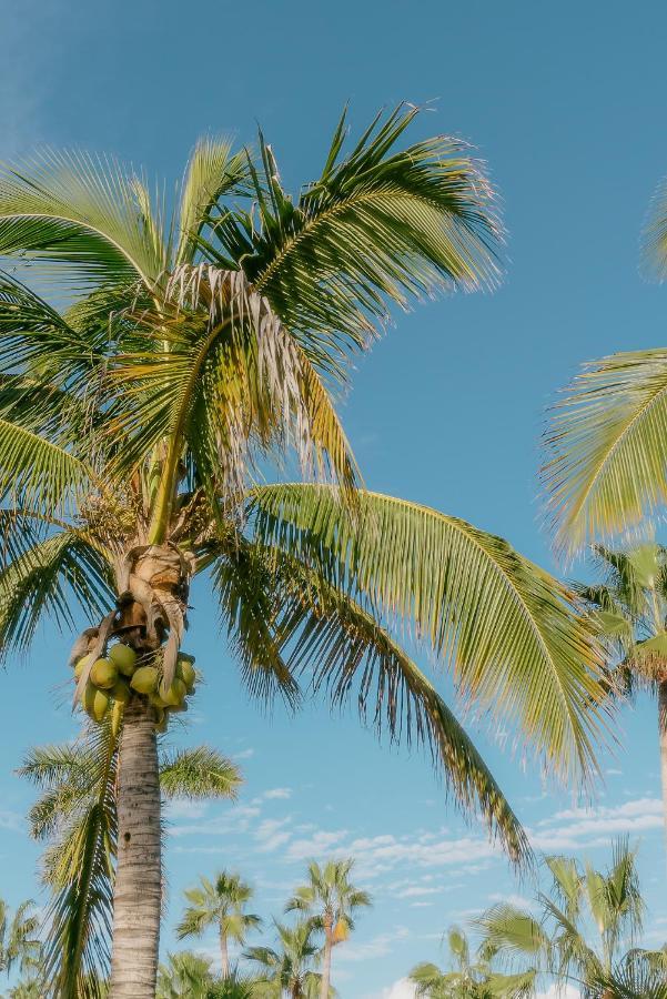 La Poza Boutique Hotel And Spa - Adults 15 Plus Todos Santos Ngoại thất bức ảnh