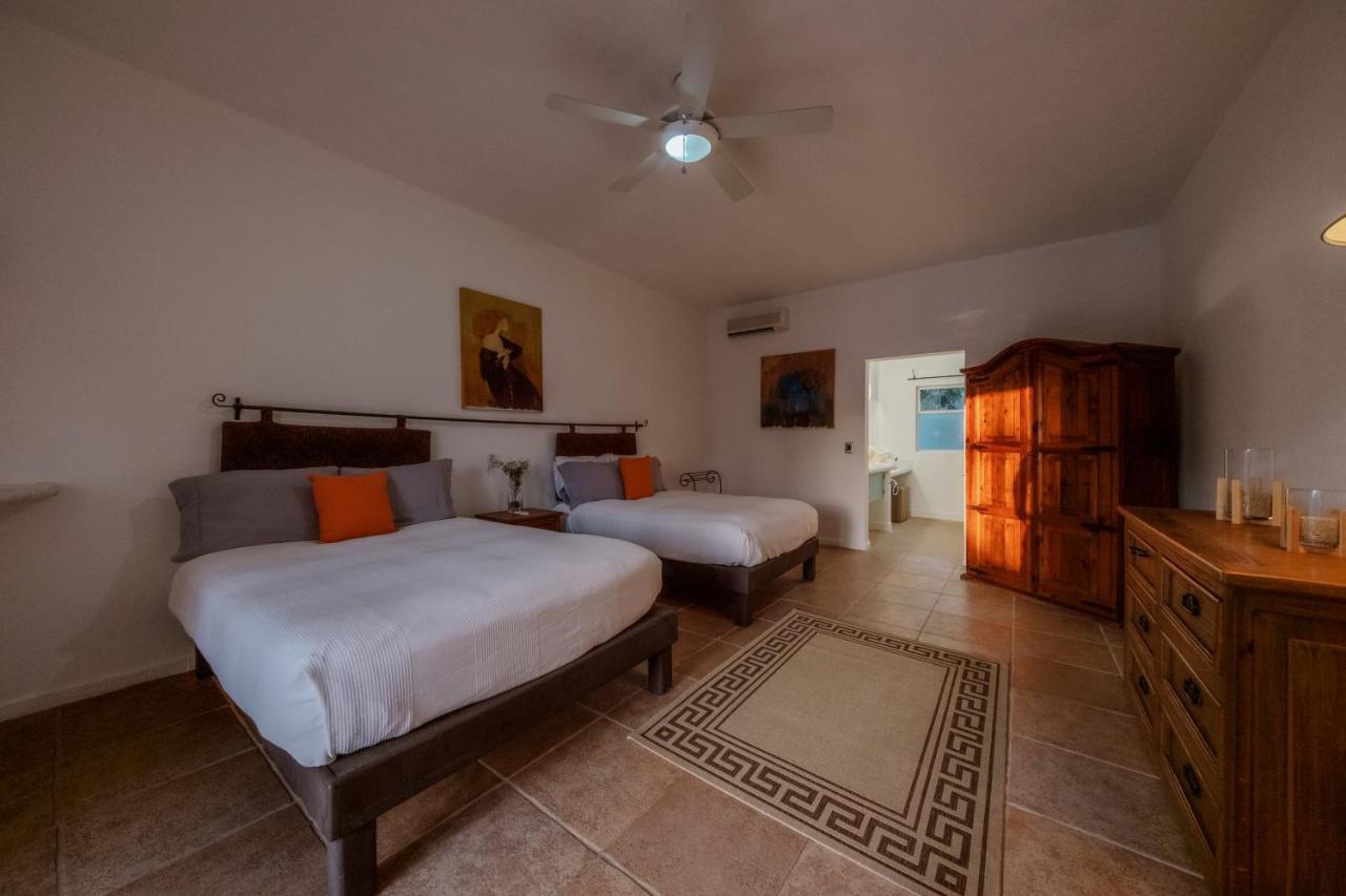 La Poza Boutique Hotel And Spa - Adults 15 Plus Todos Santos Ngoại thất bức ảnh