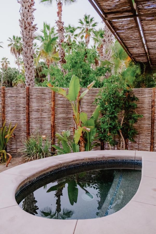 La Poza Boutique Hotel And Spa - Adults 15 Plus Todos Santos Ngoại thất bức ảnh