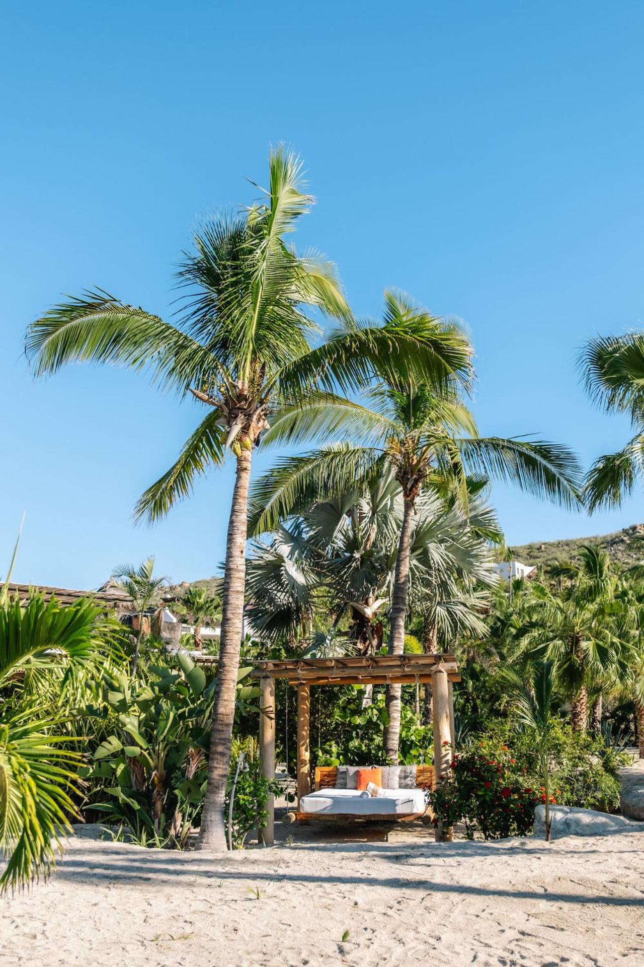 La Poza Boutique Hotel And Spa - Adults 15 Plus Todos Santos Ngoại thất bức ảnh